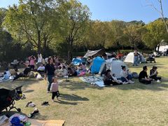 -牛岗山公园