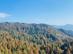 -山王坪喀斯特国家生态公园