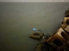 -东疆建设开发纪念公园