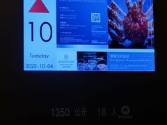 -上海嘉定喜来登酒店