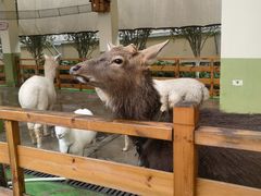 -华谊兄弟（长沙）电影小镇