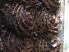 -全家便利店(仁庆路店)