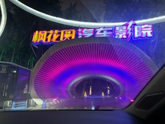 -枫花园汽车电影院(朝阳公园店)