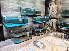 -金海湾海鲜总店