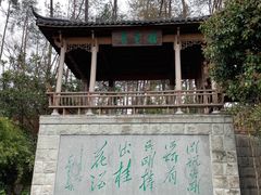 -千岛湖东南湖区