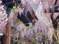 -北京市劳动人民文化宫(太庙)