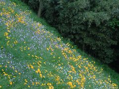 -西湖风景区-江洋畈生态公园