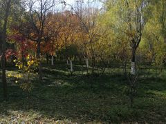 -洛阳市隋唐城遗址植物园