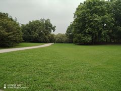 -上海共青森林公园