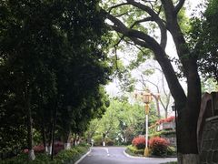 -东航云逸酒店(九溪烟树店)