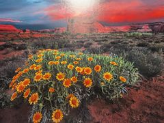 -罗红摄影艺术馆