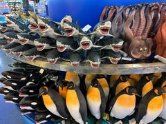 -上海海洋水族馆