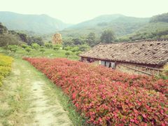 -广州市石门国家森林公园