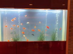 -阳澄湖费尔蒙酒店颐丰阁中餐厅(马鞍山西路店)