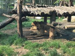 -成都动物园