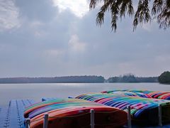 -上海海湾国家森林公园