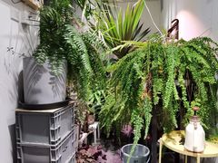 -甲乙果 美术书法(通州校区)