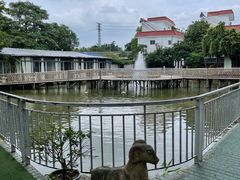 -陶缘一号·四季缘·老字号顺德菜·户外婚礼家宴(西滘店)