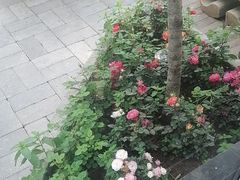 -瓦舍茶馆(聚源路店)
