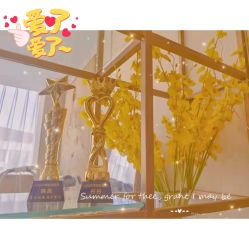 点击看大图 -Lily纤美·科技减脂中心
