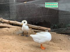 -西安世博园