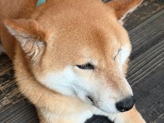 -三目仓咖啡(贤南路店)