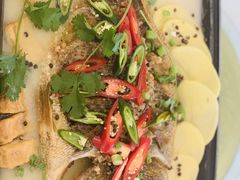 藤椒烤鱼-好滋味川菜馆