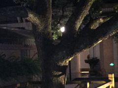 -东航云逸酒店(九溪烟树店)