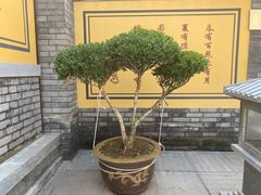 -四门塔风景区