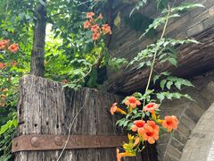 -回龙窝历史文化街区