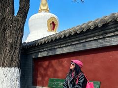 -护国法轮寺