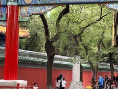 -北京国子监胡同