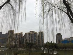 -木塔寺遗址生态公园