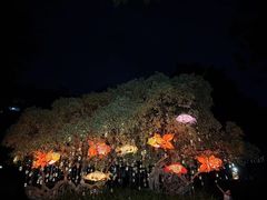 -兆祥公园
