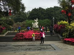 -金鸡山公园