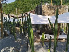 -MOJ coffee(瓯海泽雅水碓坑店)