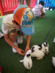 -萌宠亲子动物乐园(槐房万达店)