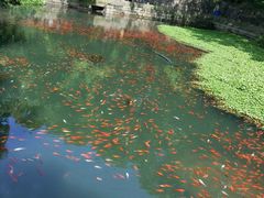 -普陀山风景名胜区-法雨禅寺