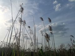 -广富林郊野公园