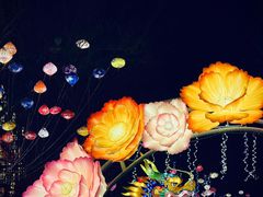 -淄博花灯齐彩城