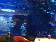 -迪拜帆船酒店海底餐厅