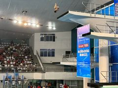 -重庆市奥林匹克体育中心-游泳跳水馆