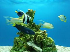 -水上乐园·欢乐世界