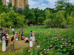 -沐仙湖湿地公园