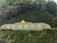 -庐山风景名胜区-东林大佛