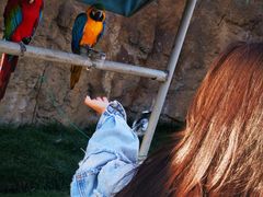 -西霞口神雕山野生动物世界