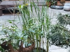 -香满楼(临安路店)