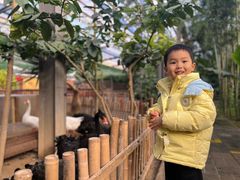 -呀路古热带植物园
