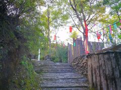 -南窖乡水峪村山情农家