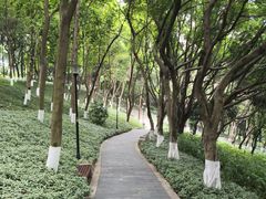 -龙头寺公园